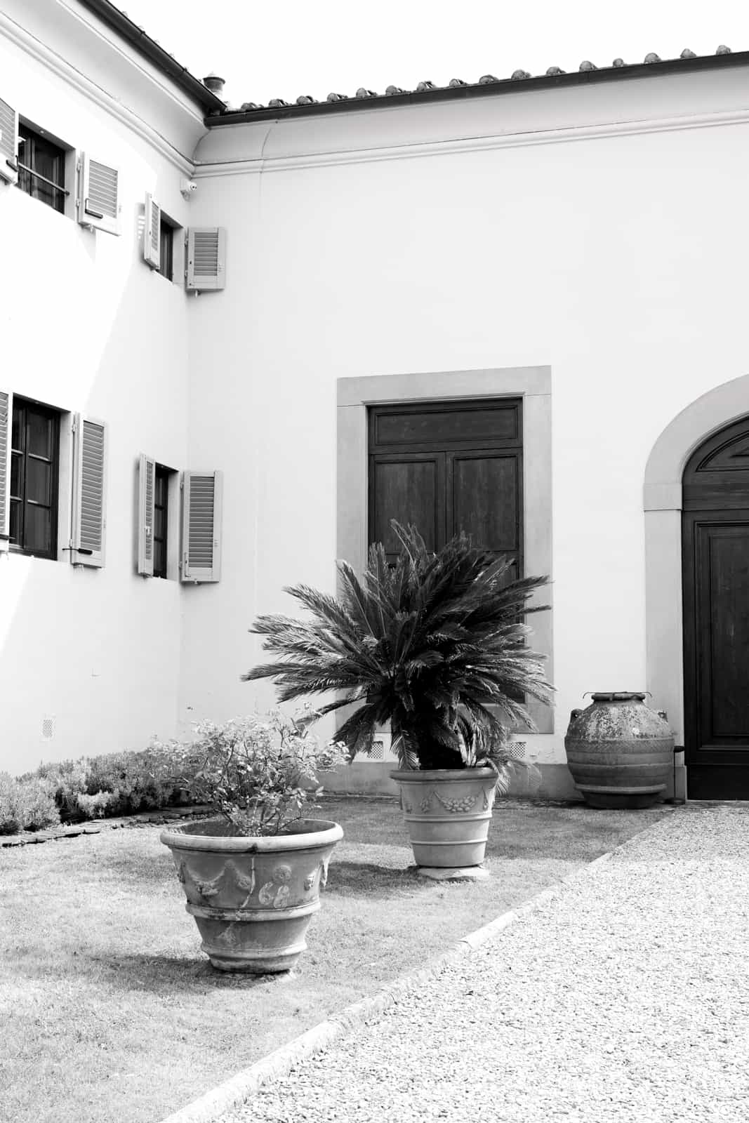 Italian villa courtyard with palm tree and terracotta planters