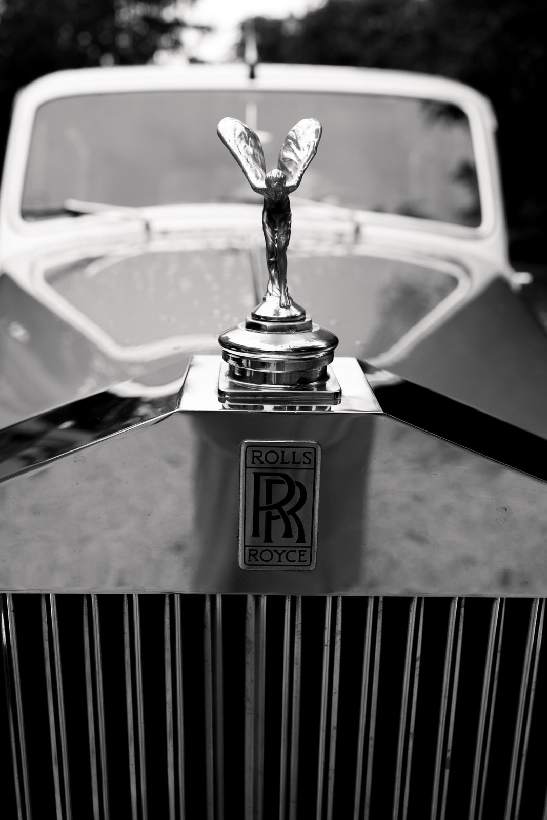 Close-up of Rolls-Royce Spirit of Ecstasy hood ornament and badge on wedding car